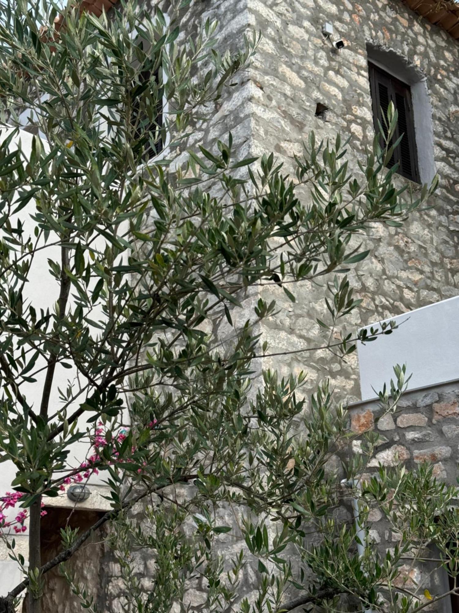 Elia Luxury Rooms Areopoli Exterior foto